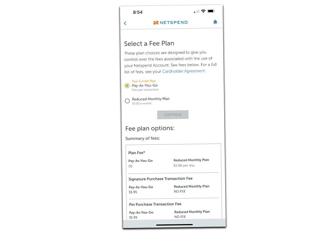 Netspend Fees