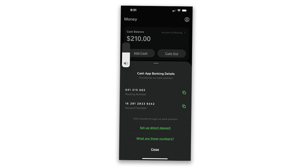 Cash App provides routing number on the mobile app